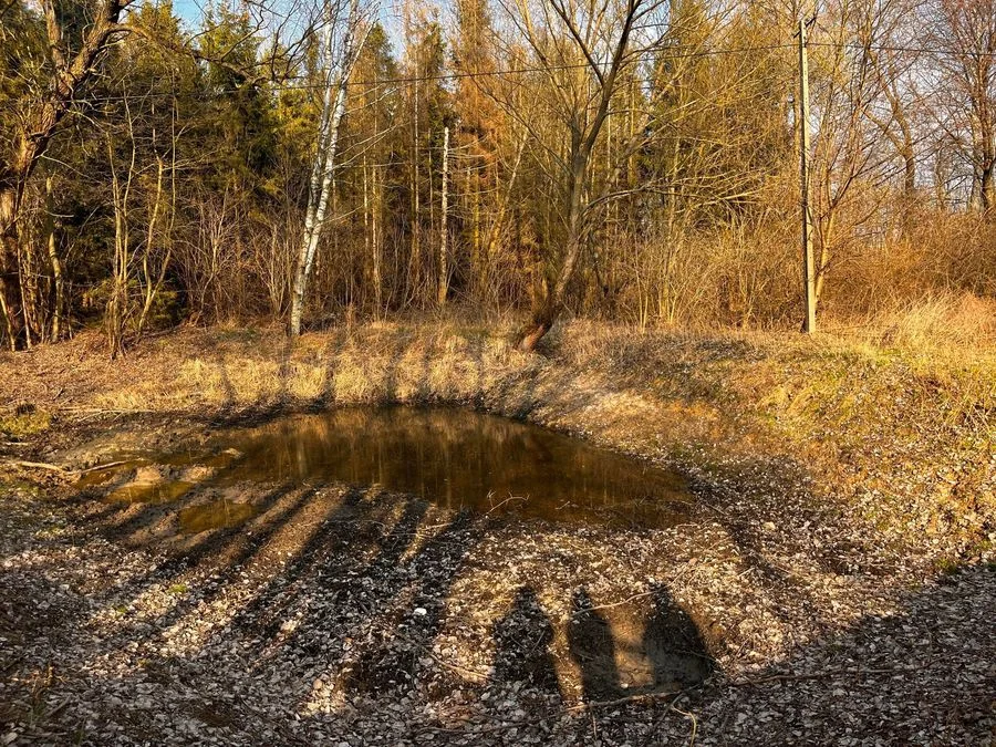 ділянка на продаж у Mszczonów | 42 556 m²