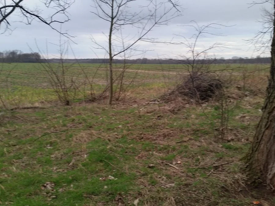 terrain à vendre à Mirków | 10 000 m²