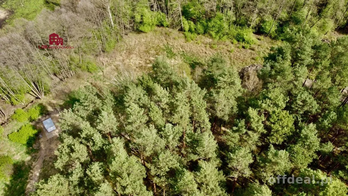 plot for sale in Zagórze | 990 m²
