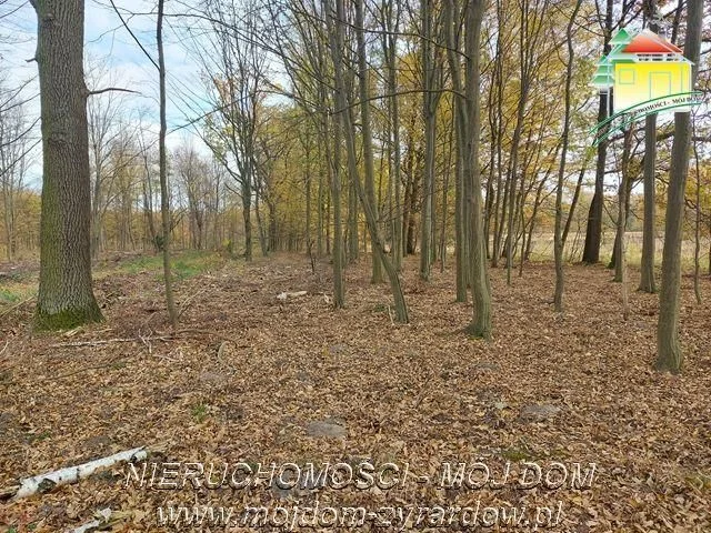 plot for sale in Benenard | 2,909 m²