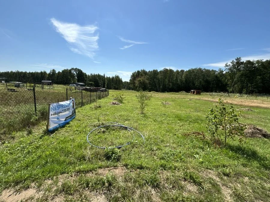 ŚRODEK LASU, DZIAŁKA 5 ARÓW,OSTOJA BARYCZY, NATURA