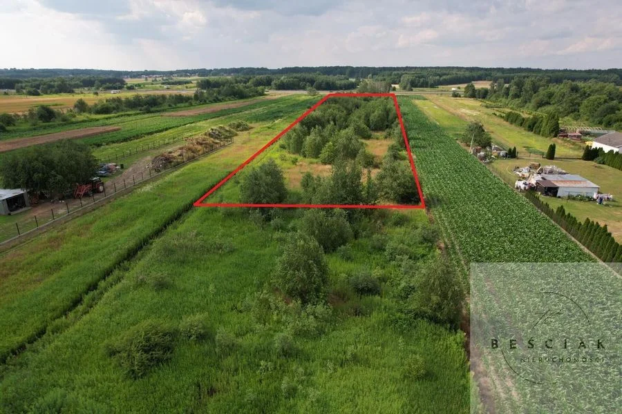 🏡 Na sprzedaż działka o powierzchni 1,44 ha – Zaczarnie, gm. Lisia Góra