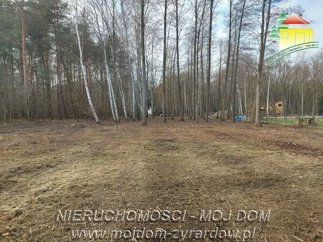 Działka budowlana w leśnej okolicy.