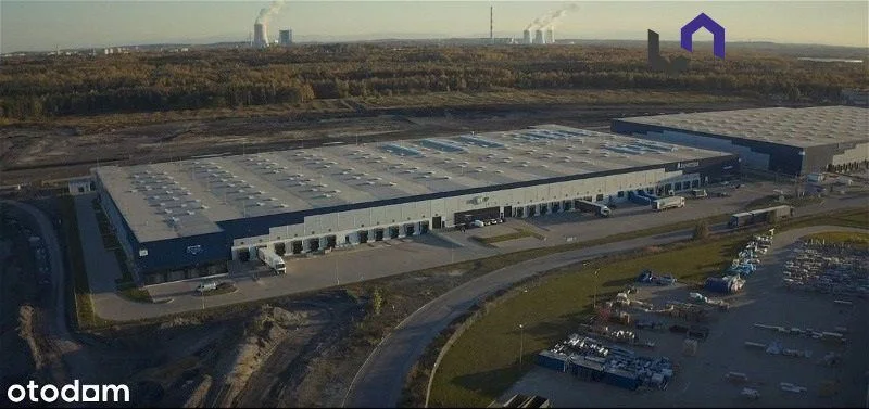 Lokal na wynajem, Sosnowiec