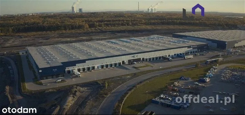 Lokal na wynajem, Sosnowiec