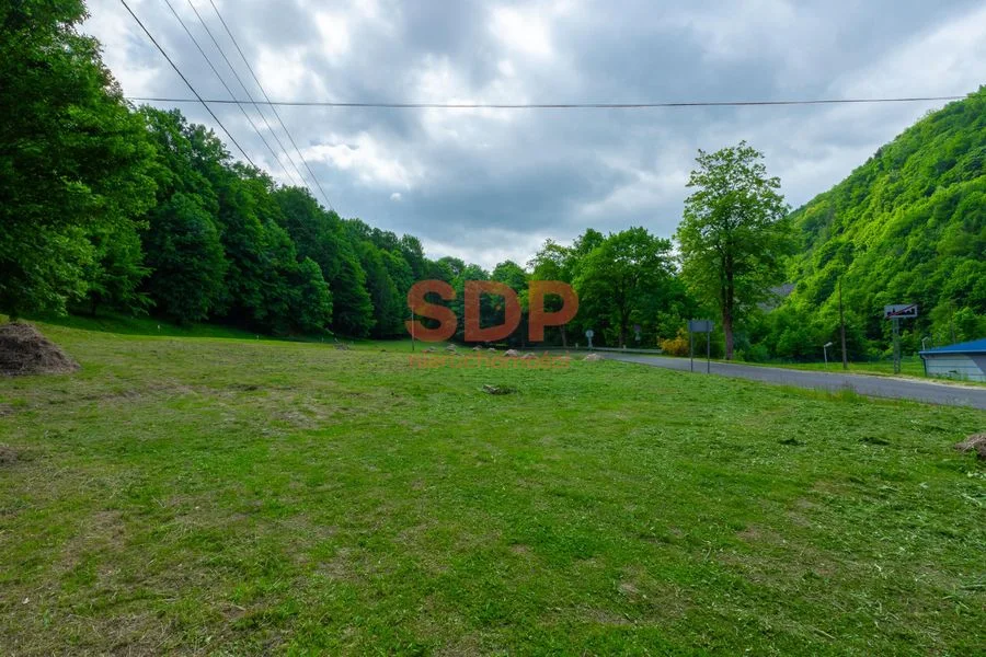 Działka w spokojnej okolicy  | Zagórze Śląskie