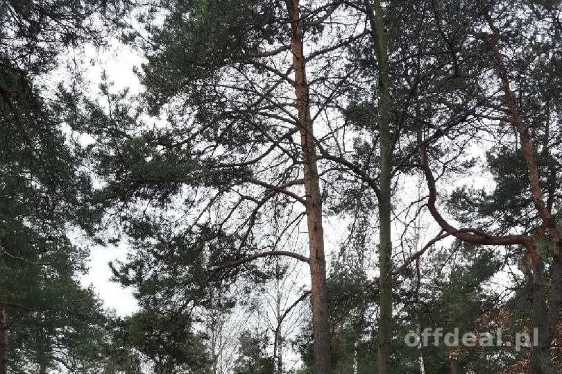 Sprzedam piękną działkę w Michalinie
