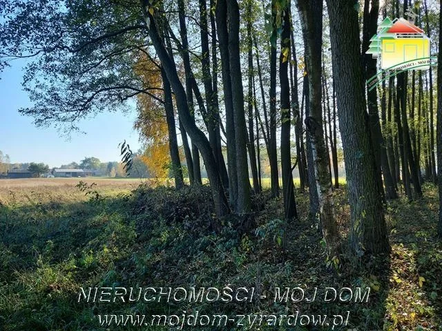 terrain à vendre à Radziwiłłów | 1 387 m²