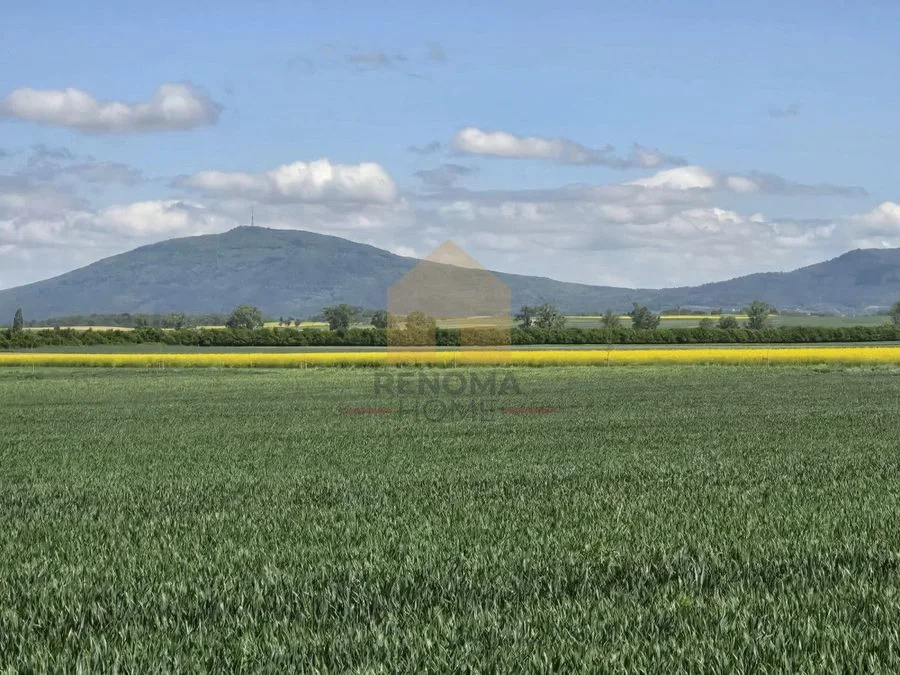 terrain à vendre à Świdnica | 12 700 m²