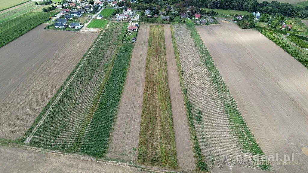 Działki 1,3550 HA oraz dom  i budynki gospodarcze