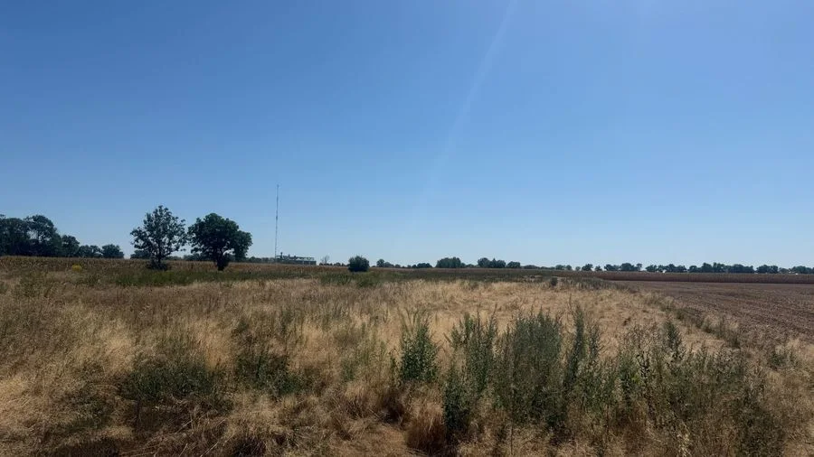Działka • 1049 m² • Szukalice • 289 900 PLN