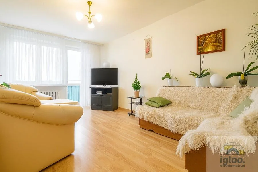2 pok + widna kuchnia balkon  do zamieszkania