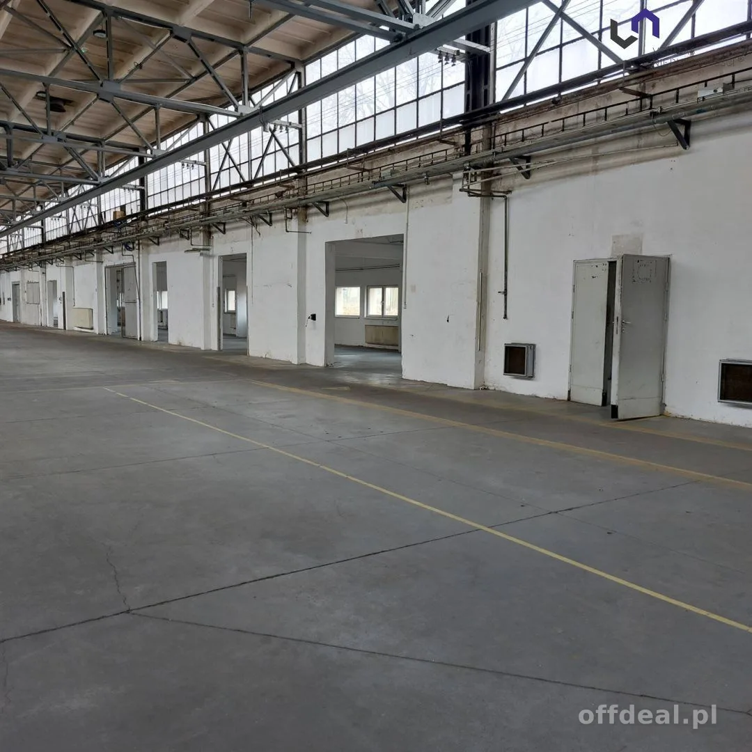 Lokal na wynajem, Katowice