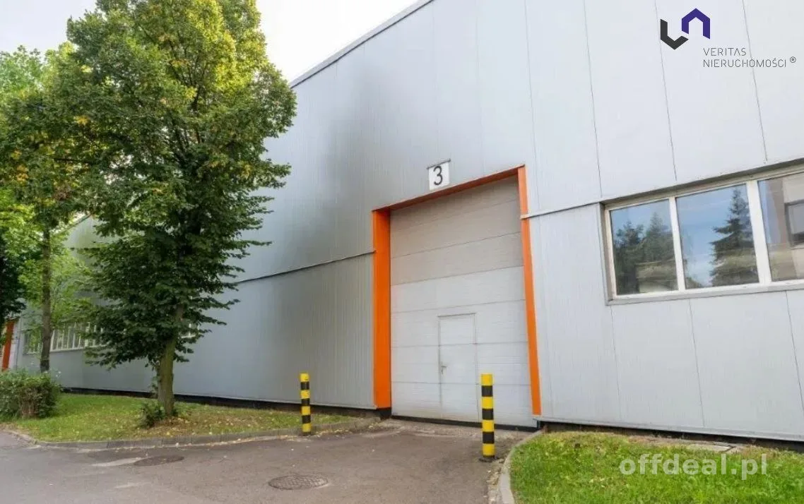 Lokal na wynajem, Chorzów