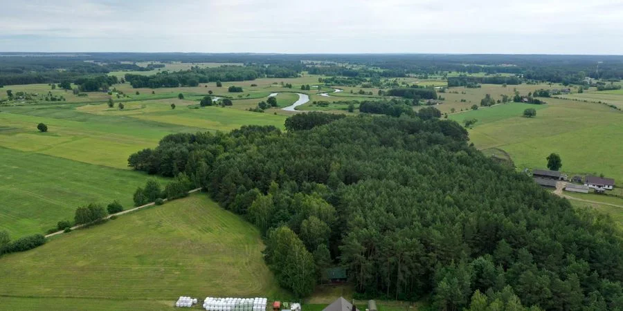 Domek ukryty w małym lesie, blisko rzeki, Cieciory gm. Turośl