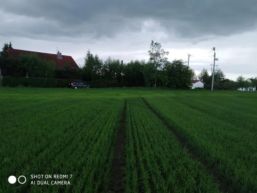 Czernin uzbrojona działka budowlana o pow. 1620 m2