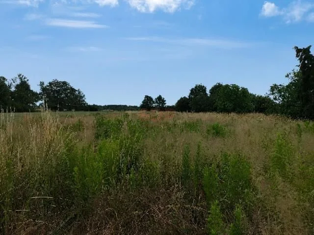 Działka 1800 m2 z możliwością zabudowy, media w drodze