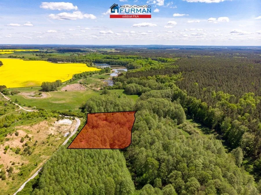 terrain à vendre à Róża Wielka | 24 900 m²