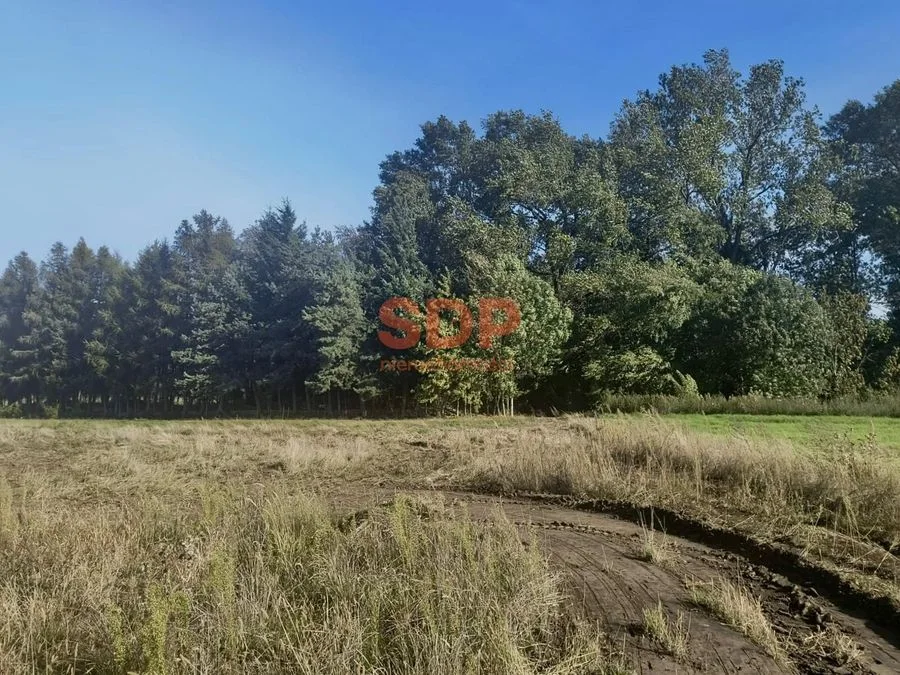 ділянка на продаж у Pełczyce | 880 m²