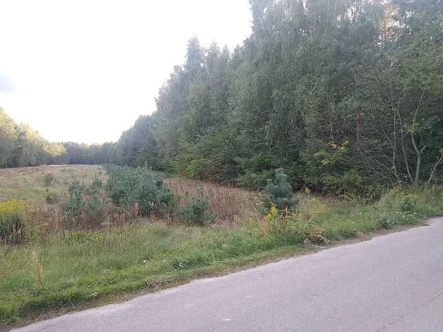 Grundstück zum Verkauf in Sobień | 1.200 m²