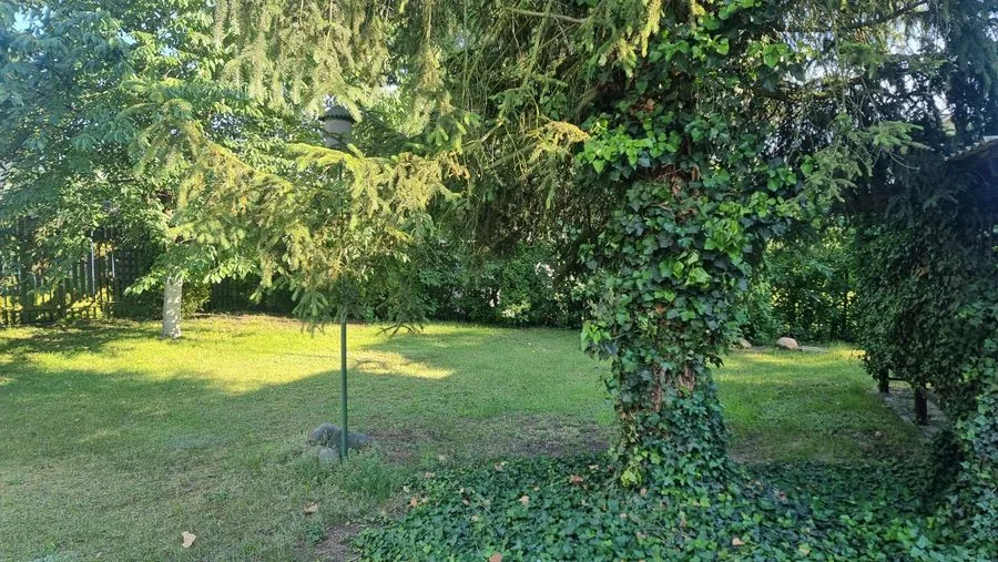 Atrkakcyjna działka