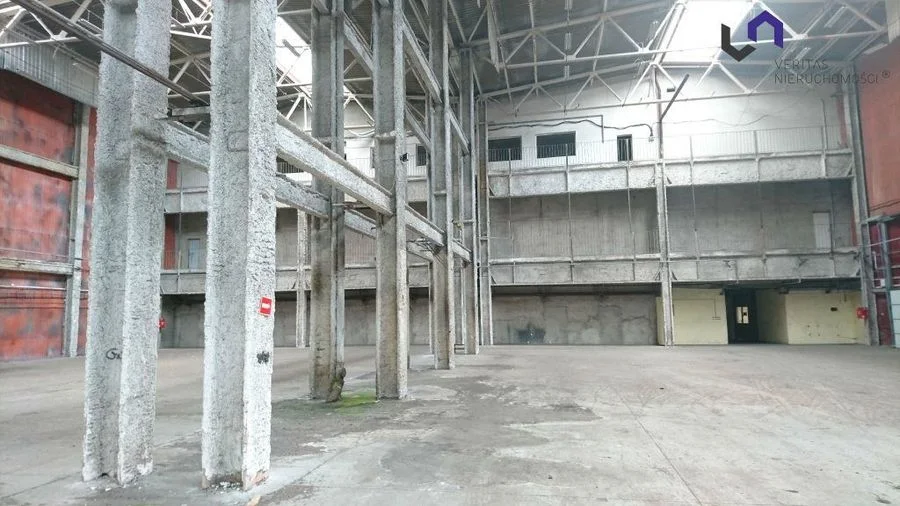 Lokal na wynajem, Katowice