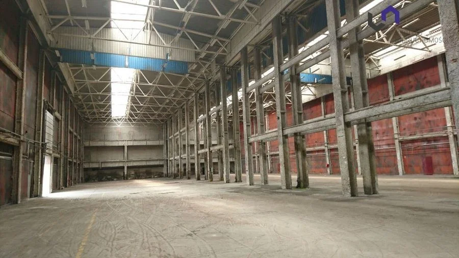 Lokal na wynajem, Katowice