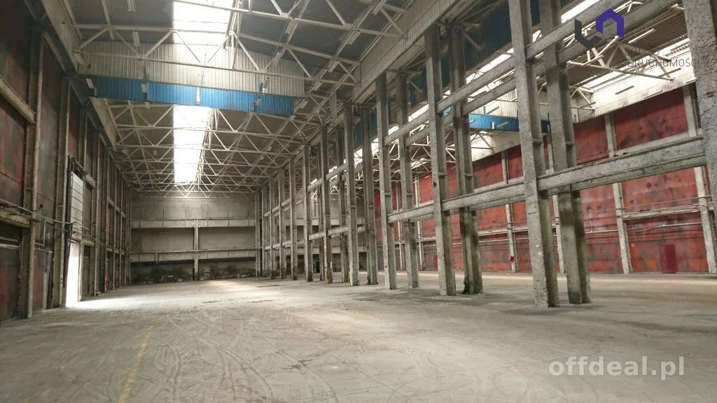 Lokal na wynajem, Katowice