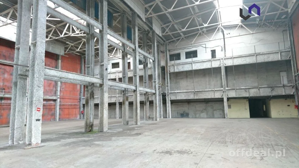 Lokal na wynajem, Katowice
