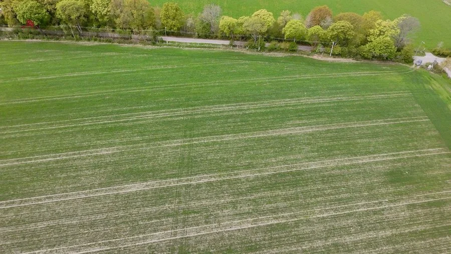 Działki pod dom po 3000m2-7 min od Łeby| MPZP