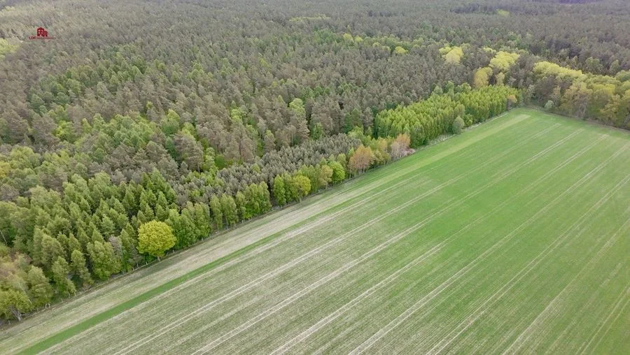 Działki pod dom po 3000m2-7 min od Łeby| MPZP
