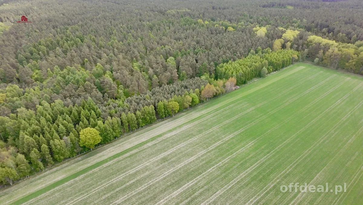 Działki pod dom po 3000m2-7 min od Łeby| MPZP