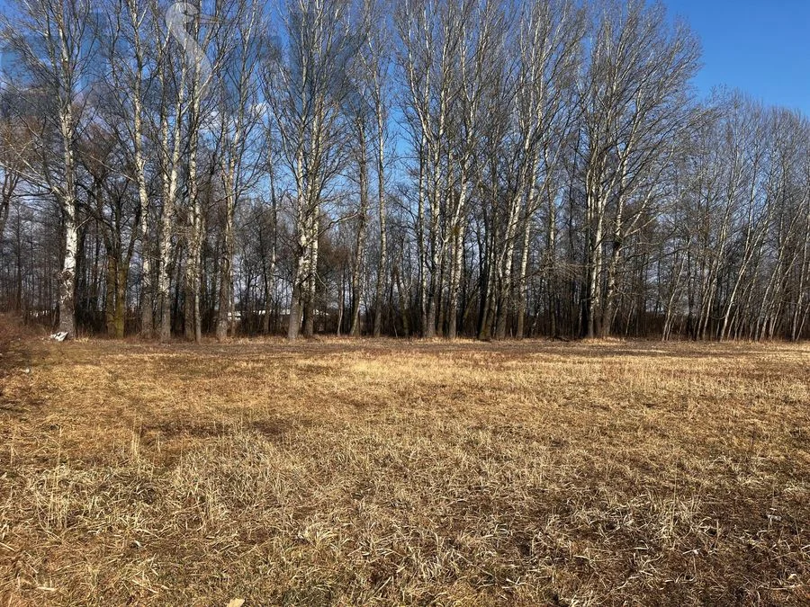 ділянка на продаж у Błonie | 1 729 m²