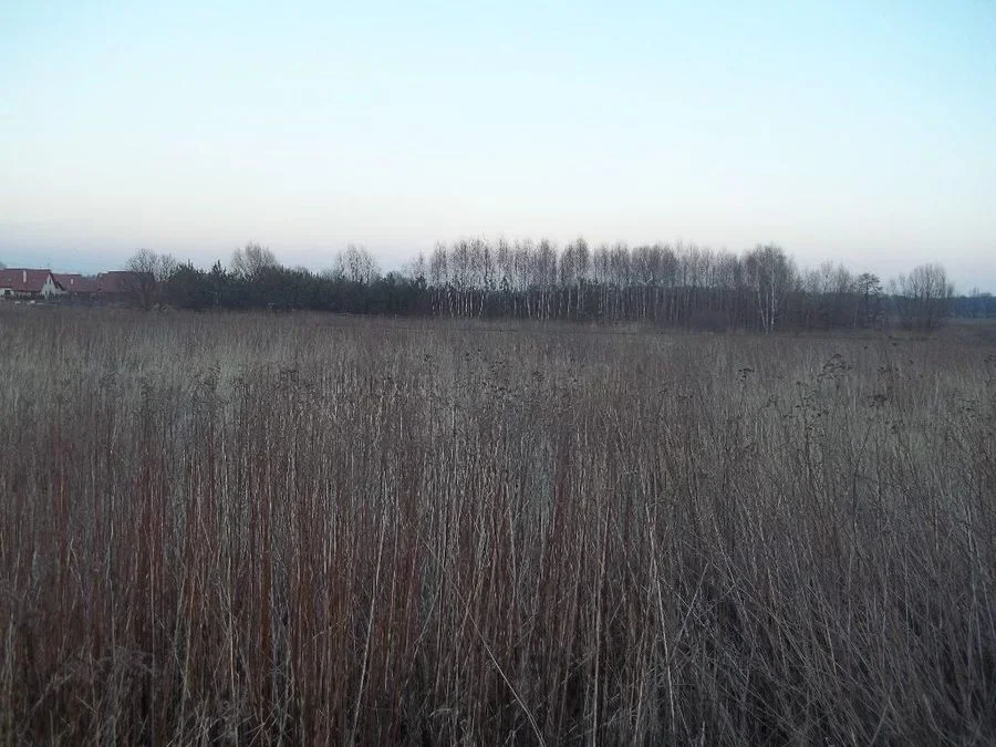 terrain à vendre à Kiełczów | 3 410 m²