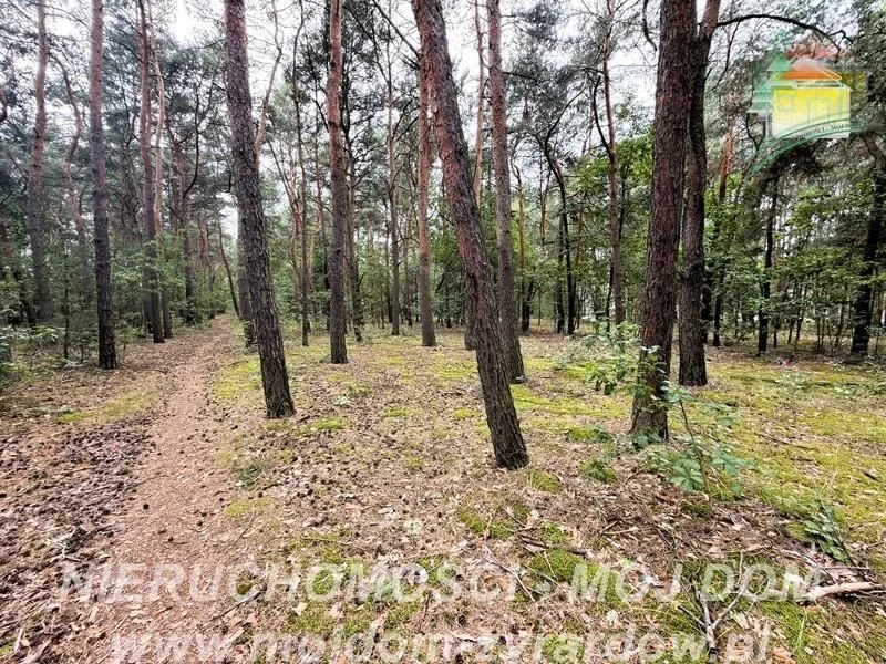 ділянка на продаж у Mrozy | 7 174 m²