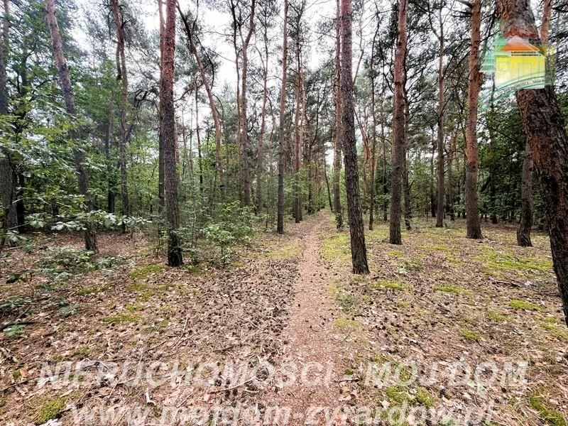 ділянка на продаж у Mrozy | 7 174 m²