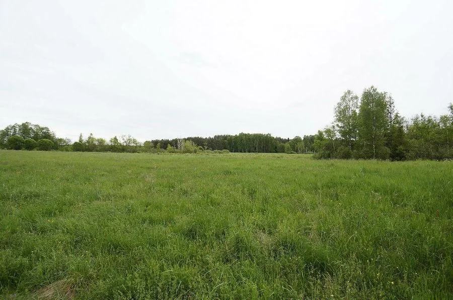 ділянка на продаж у Ełk, Regiel | 16 400 m²