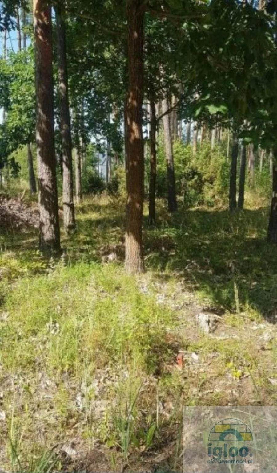 Okazja, działka budowlana 7 km od Kielc