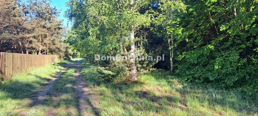 Działka rolna 37ar Dąbrówka koło lasu