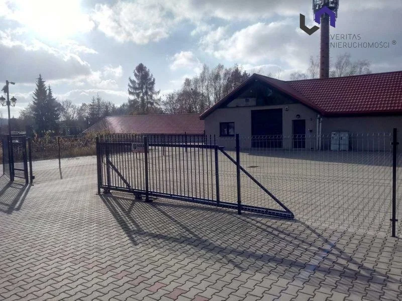 Lokal na wynajem, Katowice