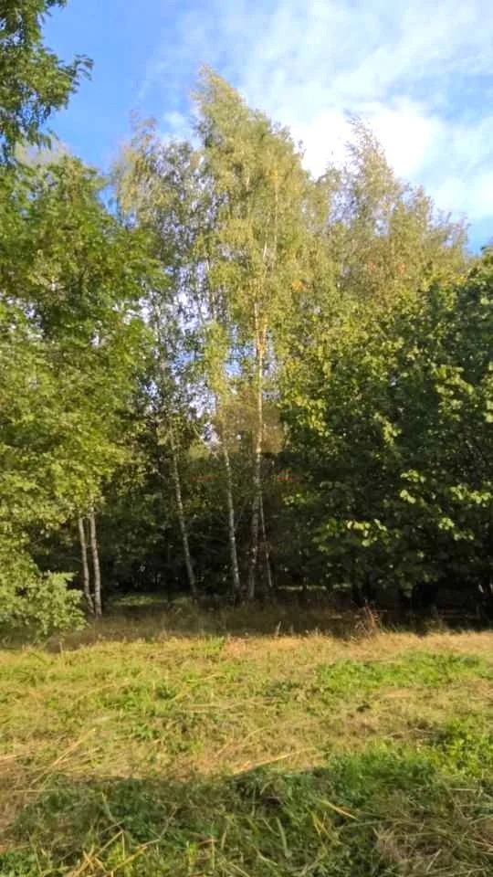 Działka dla konesera przyrody - okolice Wrocławia