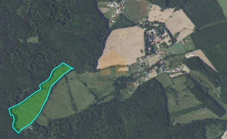 Kłonice gm. Paszowice| działka rolna