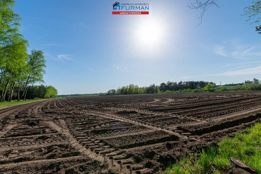 Na sprzedaż działka rolna w Budzyniu.