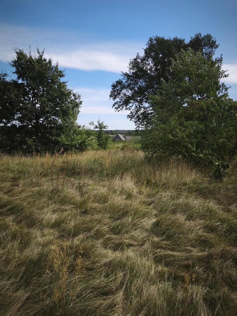 ділянка на продаж у Strzemieczne-Wiosny | 1 600 m²