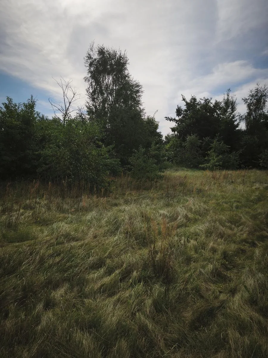 ділянка на продаж у Strzemieczne-Wiosny | 1 600 m²