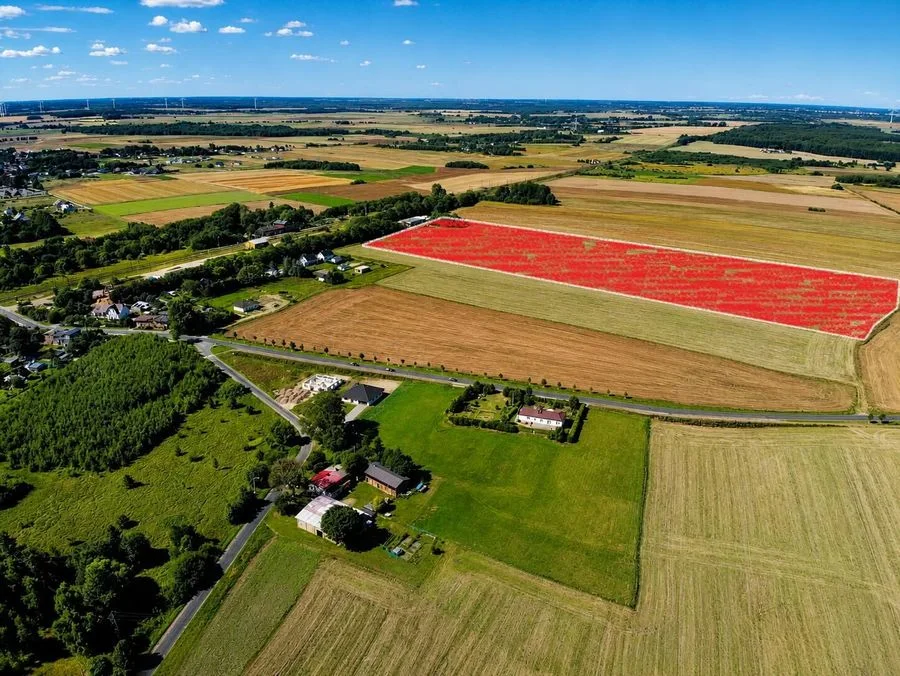 TEREN INWESTYCYJNY 4,1 ha I DYGOWO | 31  działek | 5 km od morza