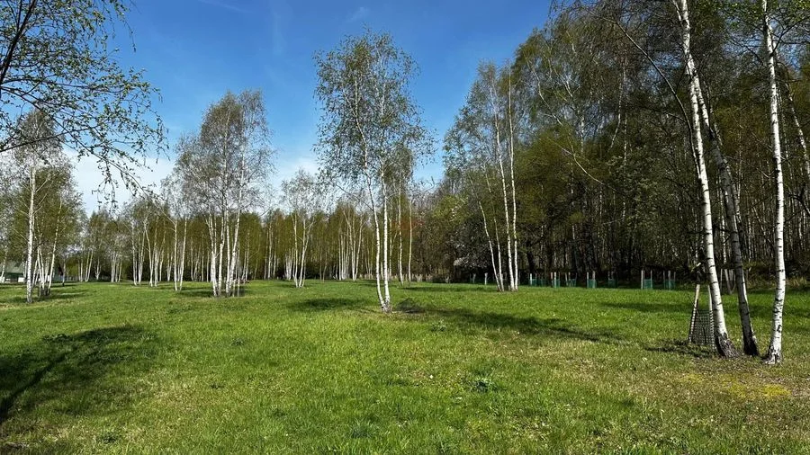Działka o powierzchni około 2000 m2 w Nowej Wsi