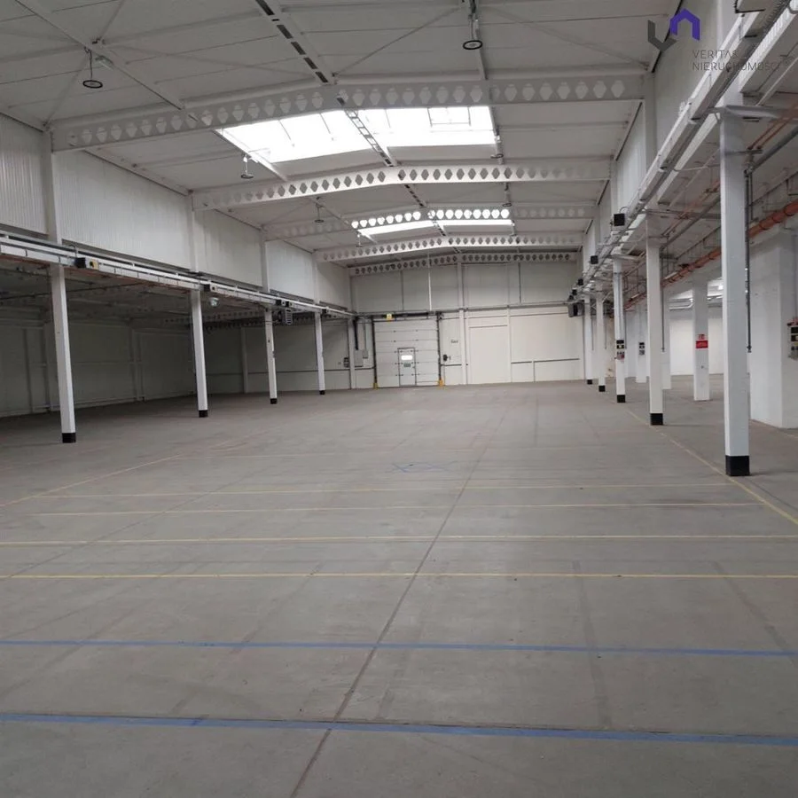 Lokal na wynajem, Katowice