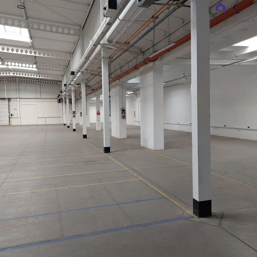 Lokal na wynajem, Katowice