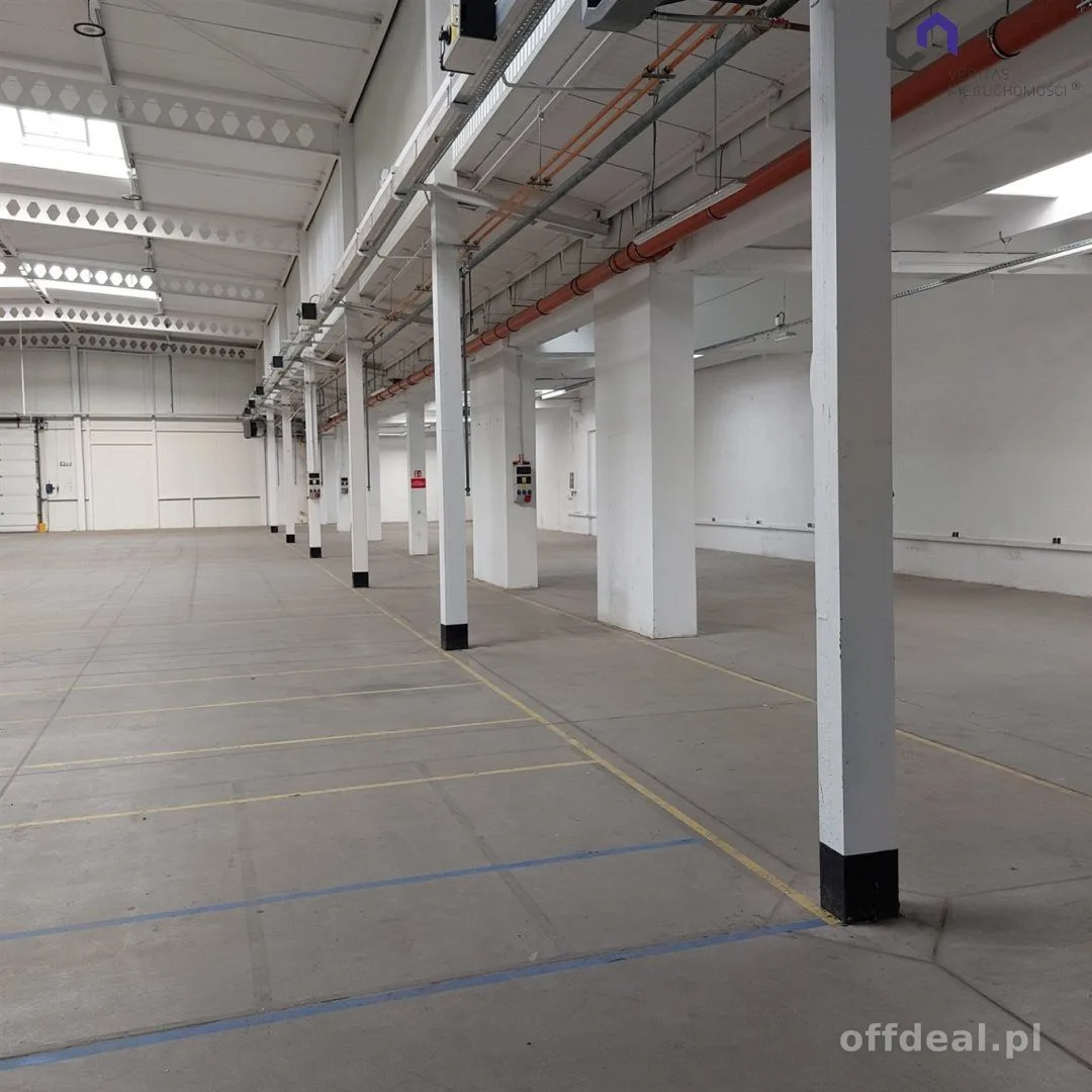 Lokal na wynajem, Katowice
